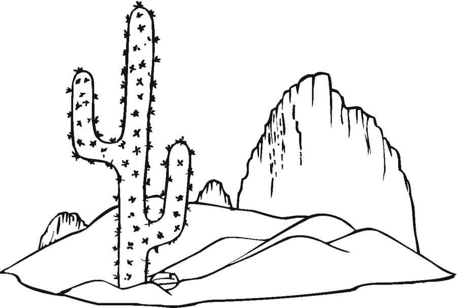 Dibujos de Buen Cactus para colorear