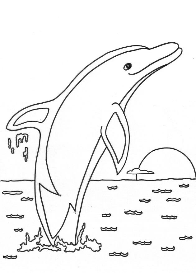 Dibujos de Buen Delfín para colorear