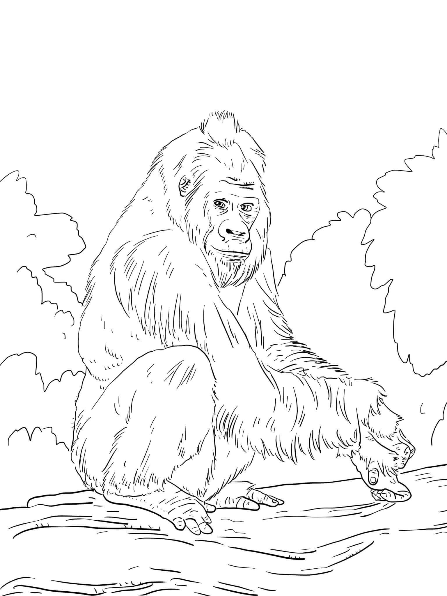 Dibujos de Buen Gorila para colorear