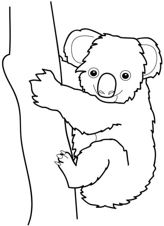 Buen Koala con Árbol para colorir