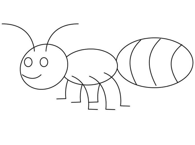 Dibujos de Buena Hormiga para colorear