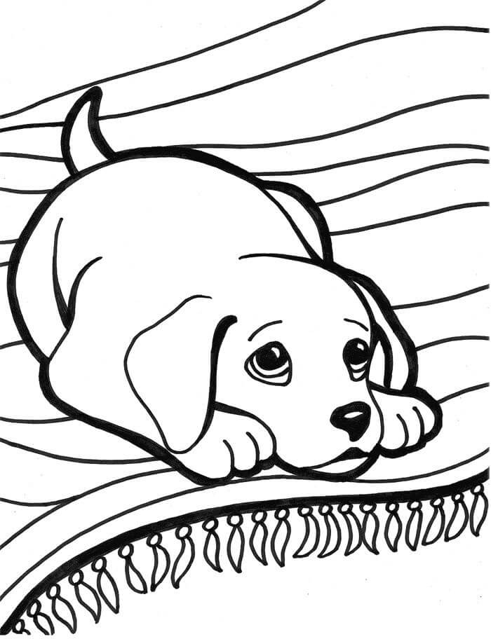 Dibujos de Cachorro Triste para colorear