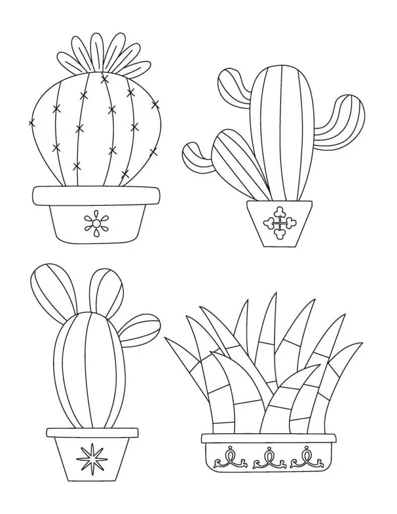 Dibujos de Cactus Básico de Cuatro Macetas para colorear