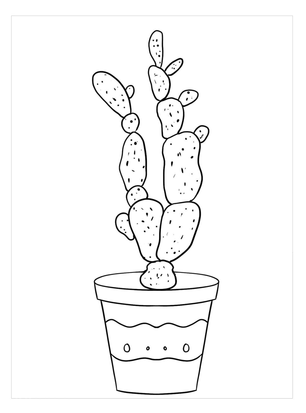 Dibujos de Cactus de Dedos de Dama para colorear