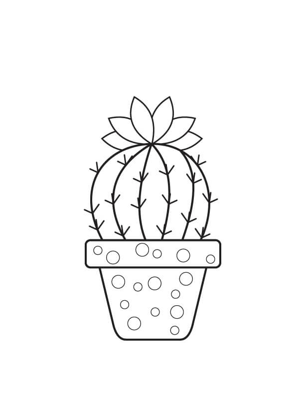 Dibujos de Cactus en Maceta Básico para colorear