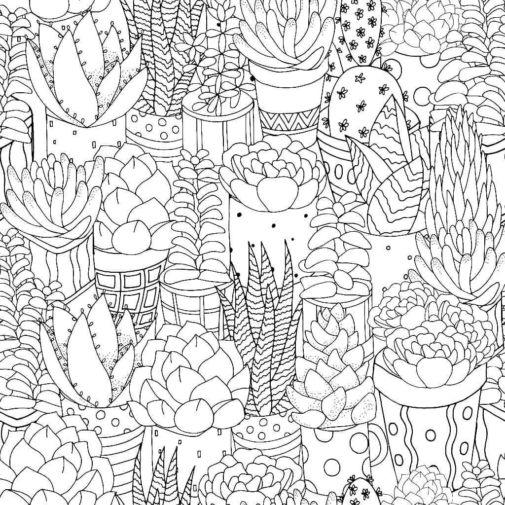 Dibujos de Cactus es para Adultos para colorear