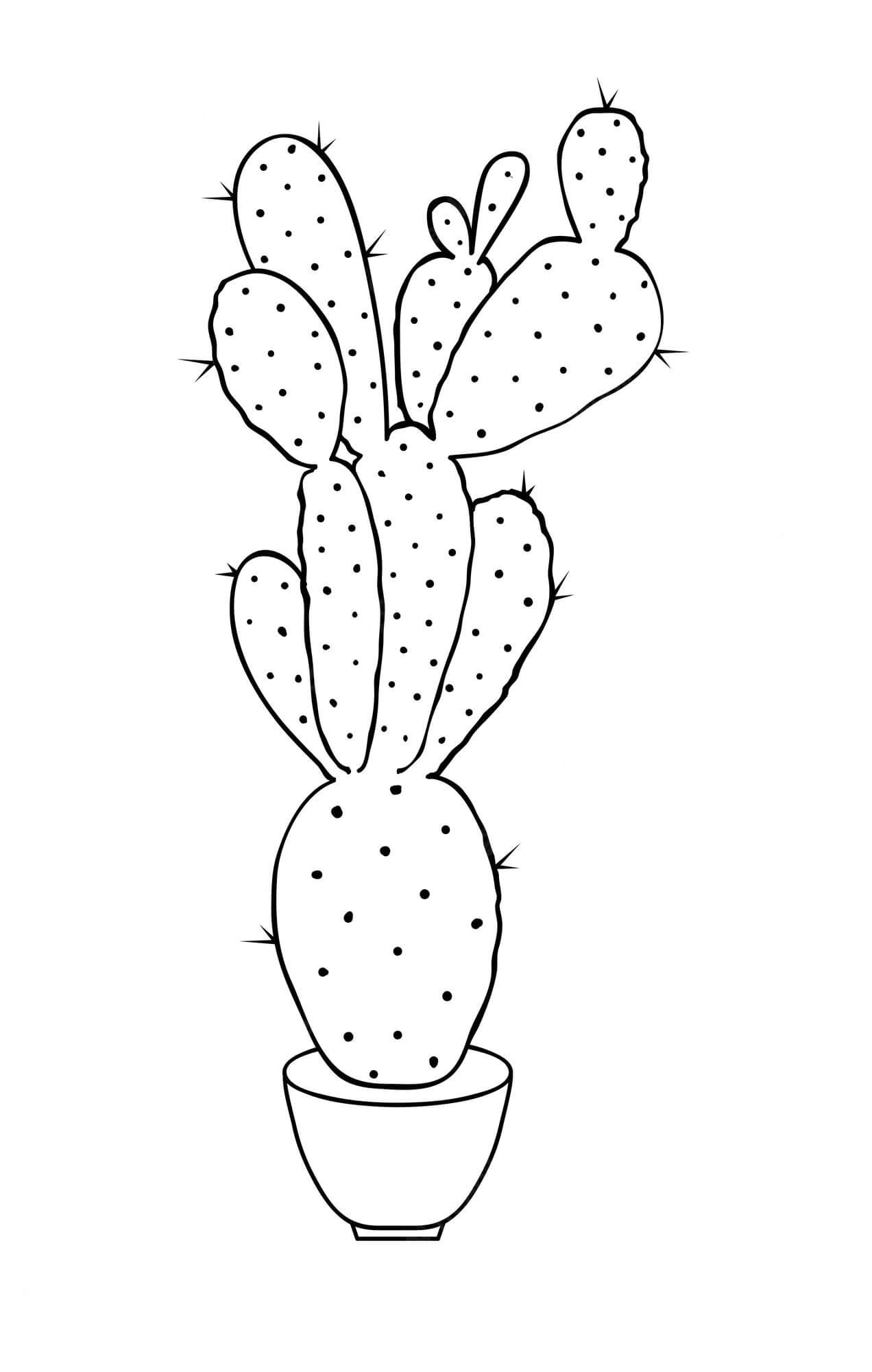Dibujos de Cactus Gratis para colorear