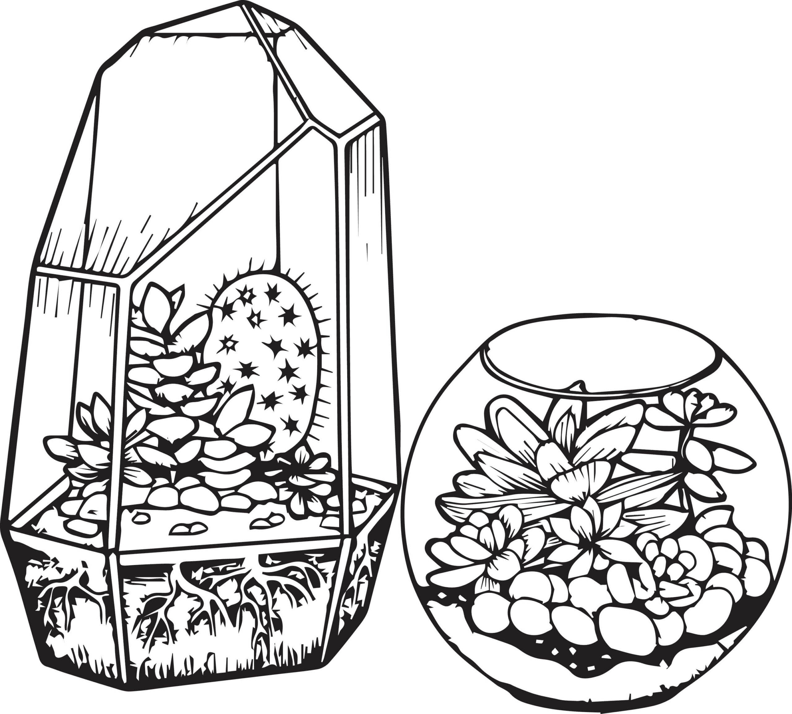 Dibujos de Cactus y Suculentas para colorear