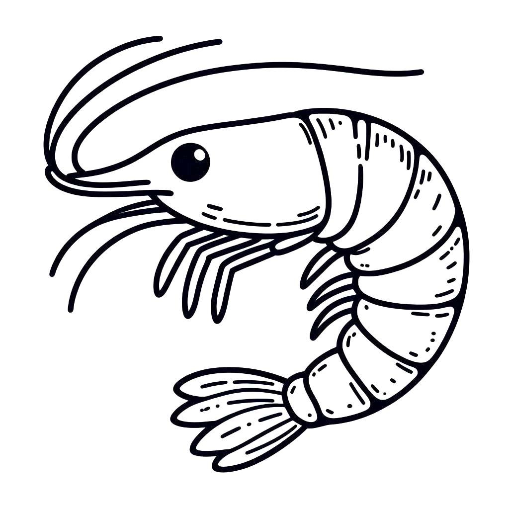 Dibujos de Camarones 2 para colorear