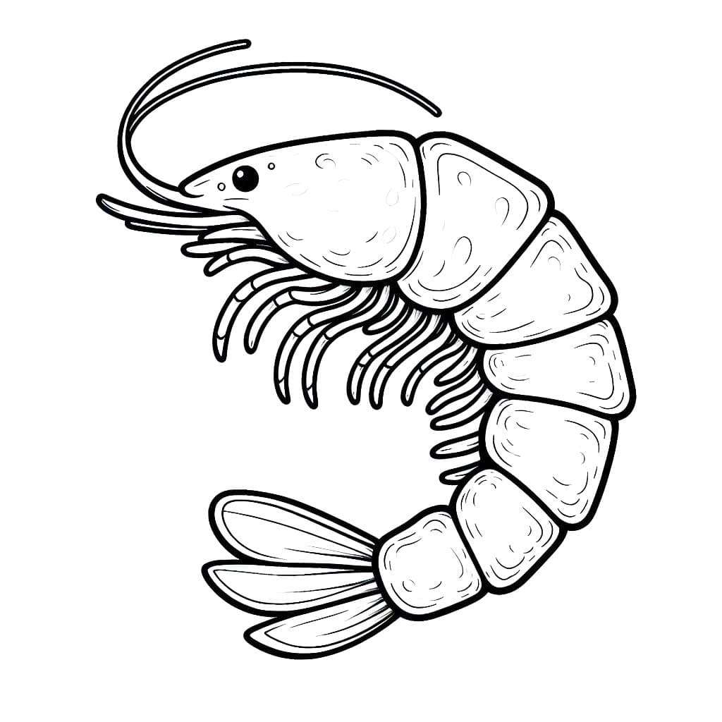 Dibujos de Camarones 5 para colorear