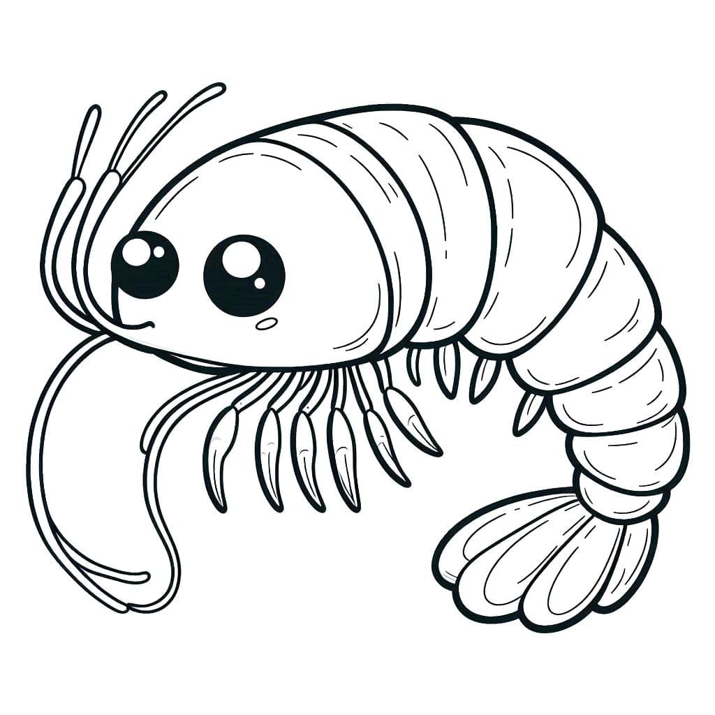 Dibujos de Camarones 6 para colorear