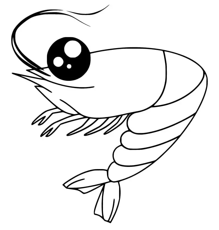 Dibujos de Camarones muy sencillo para colorear