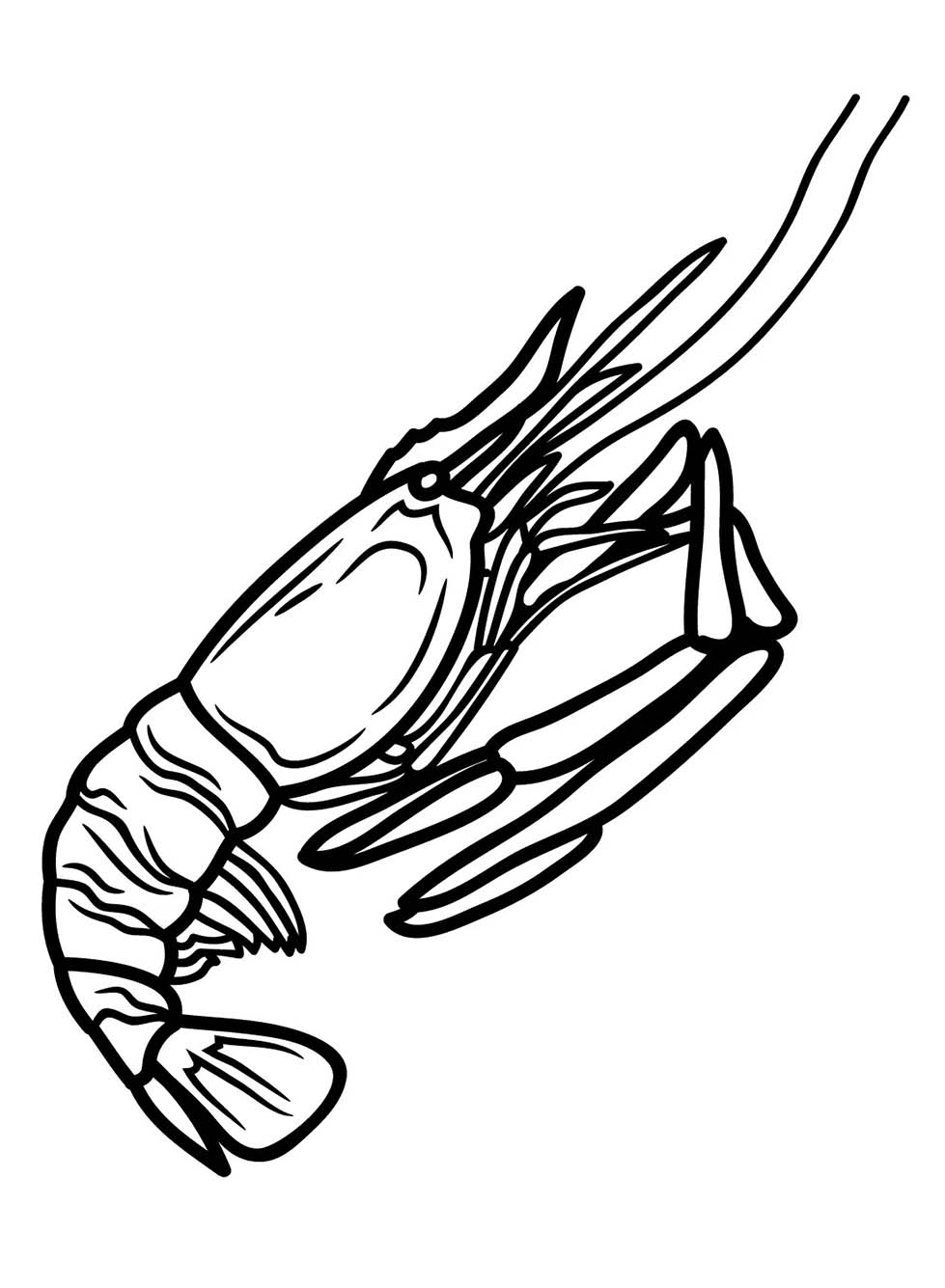 Dibujos de Camarones para niños para colorear