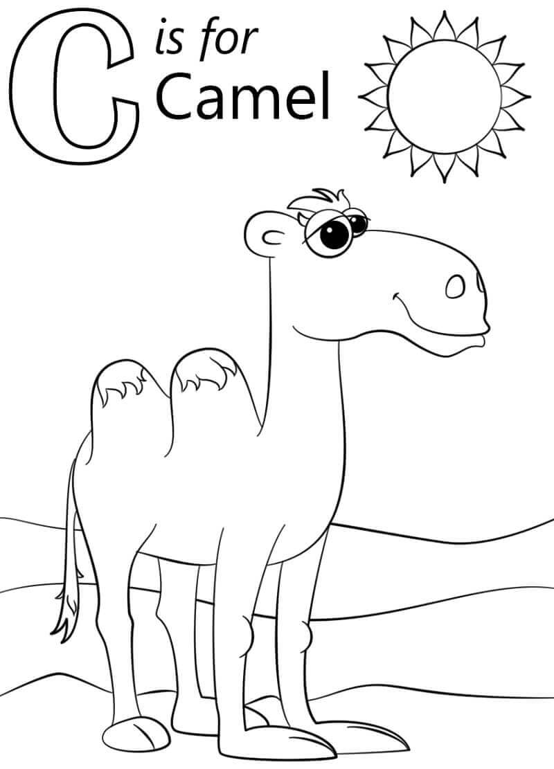 Camello, Letra C para colorir