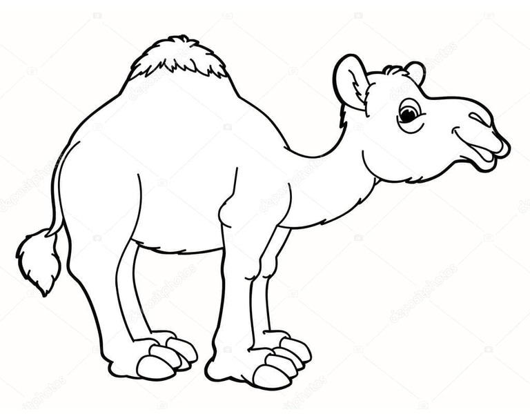 Dibujos de Camellos divertidos para colorear