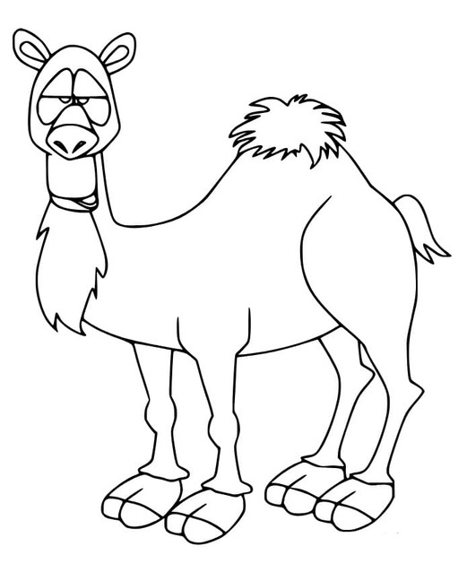 Dibujos de Camellos muy divertidos para colorear