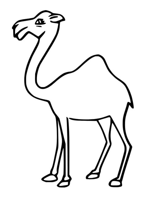 Dibujos de Camellos para imprimir para colorear