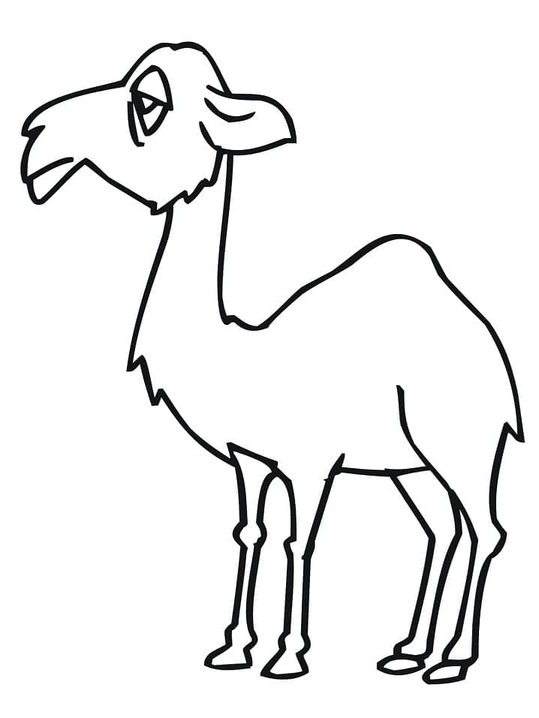 Dibujos de Camellos tristes para colorear