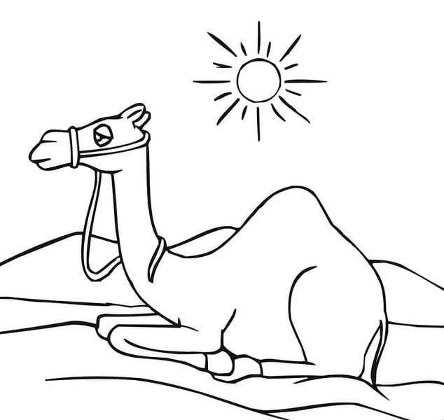 Dibujos de Camellos y sol para colorear