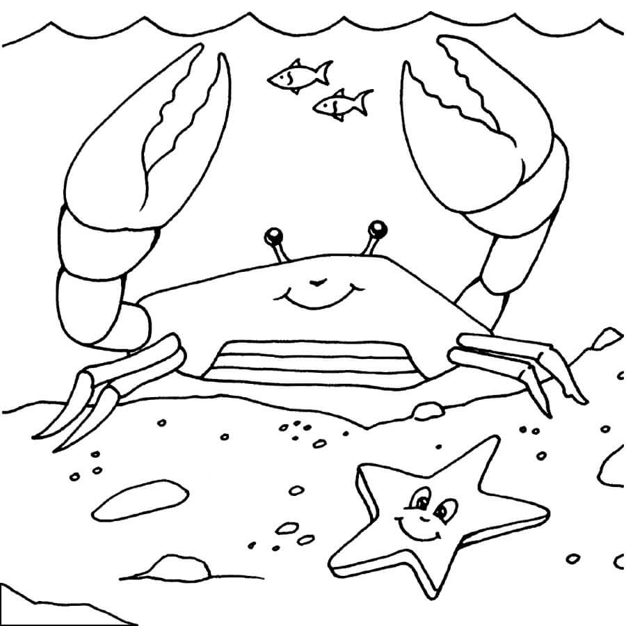 Dibujos de Cangrejo con Estrella de Mar para colorear