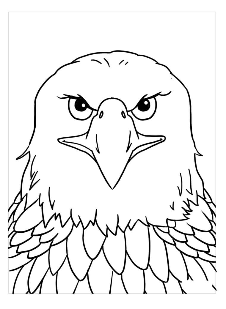 Dibujos de Cara de Águila para colorear