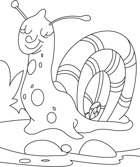 Dibujos de Snail Sleep para colorear