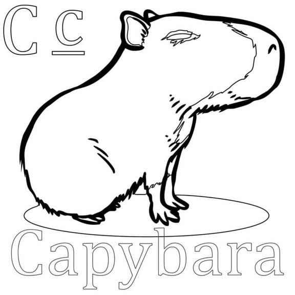Dibujos de Carpincho para niños para colorear