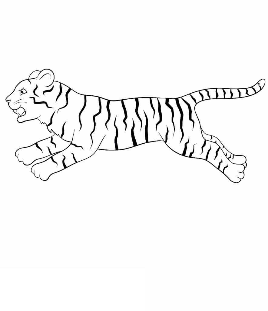 Dibujos de Carrera de tigre Básica para colorear