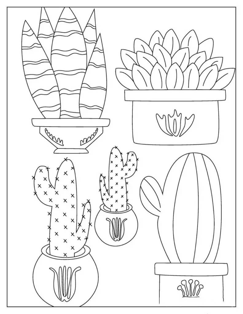 Cinco Cactus en Maceta para colorir