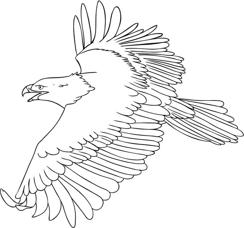 Cool águila Volando para colorir