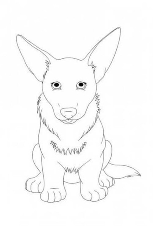 Dibujos de Corgi gratis para niños para colorear