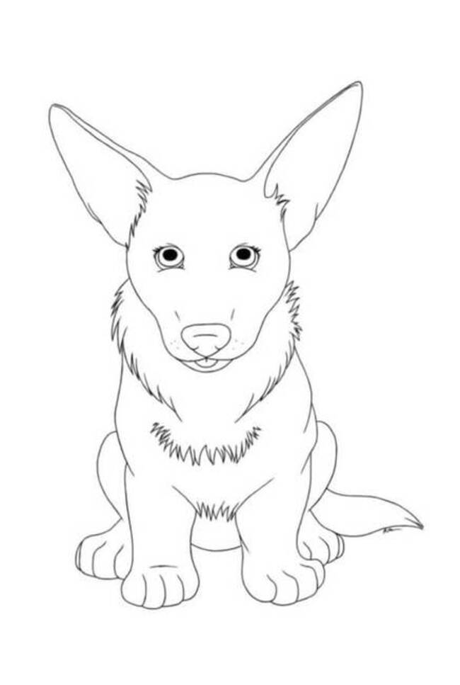 Dibujos de Corgi imprimible para niños para colorear