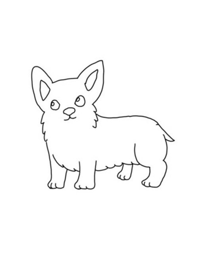 Dibujos de Corgi muy básico para colorear