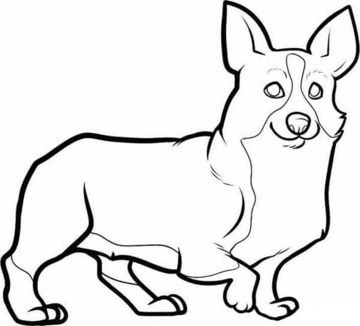 Dibujos de Corgi muy fácil para colorear
