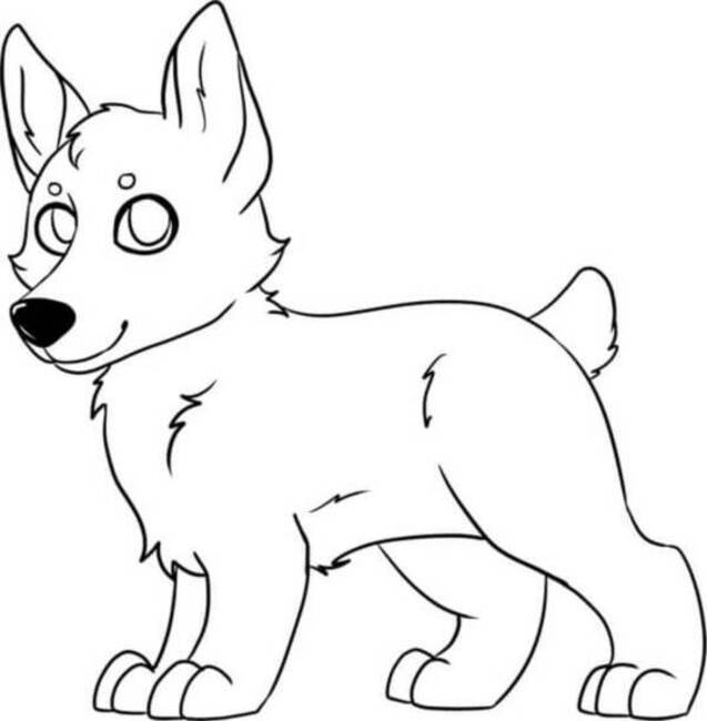 Dibujos de Corgi muy feliz para colorear