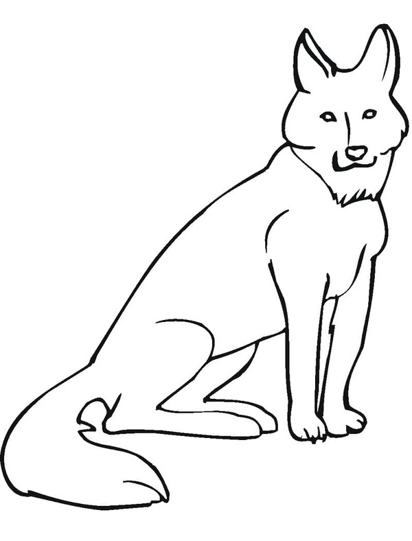 Dibujos de Coyote básico para colorear