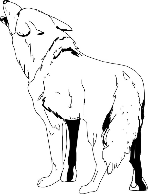 Dibujos de Coyote fácil en niños para colorear