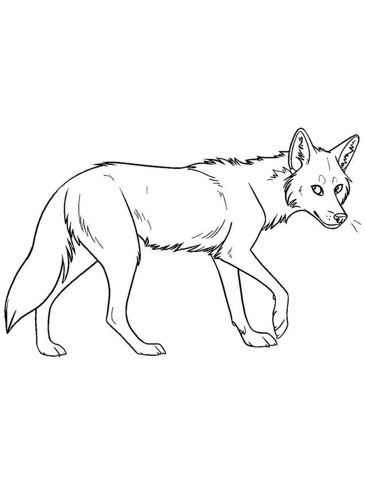 Dibujos de Coyote gratis para niños para colorear