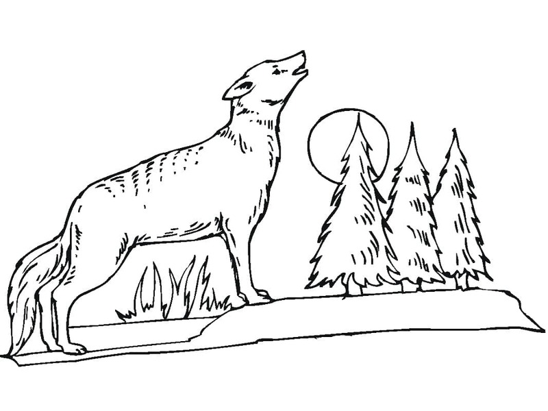 Dibujos de Coyote imprimible para colorear