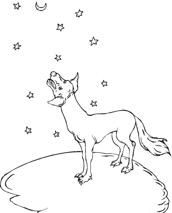 Dibujos de Coyote muy sencillo para colorear