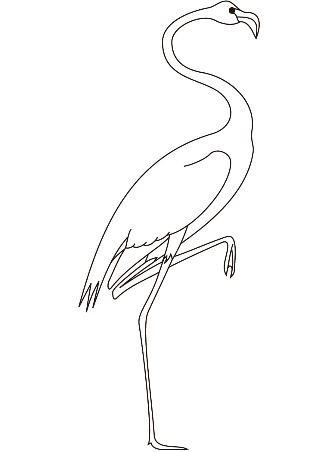 Dibujos de Cuadro HQ Flamingo para colorear