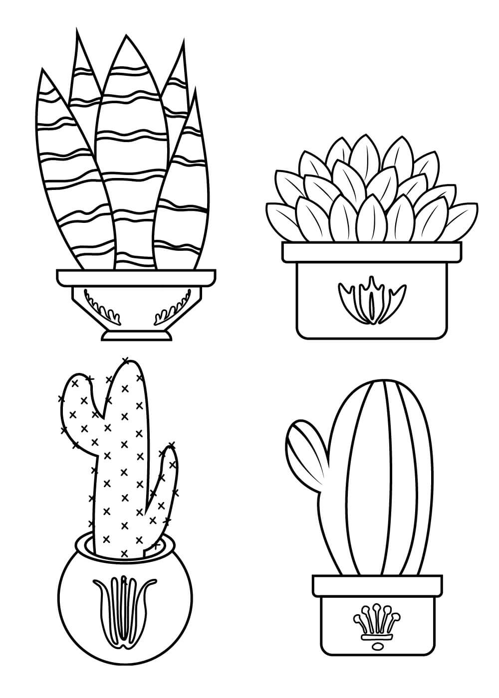 Cuatro Cactus en Maceta para colorir