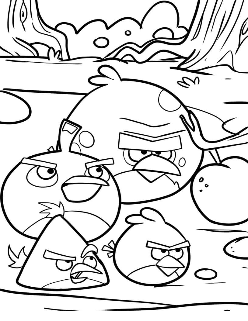 Dibujos de Cuatro Pájaros de Angry Birds para colorear