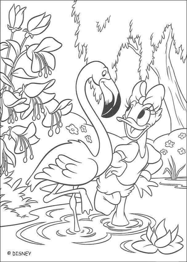Daisy y Flamingo para colorir