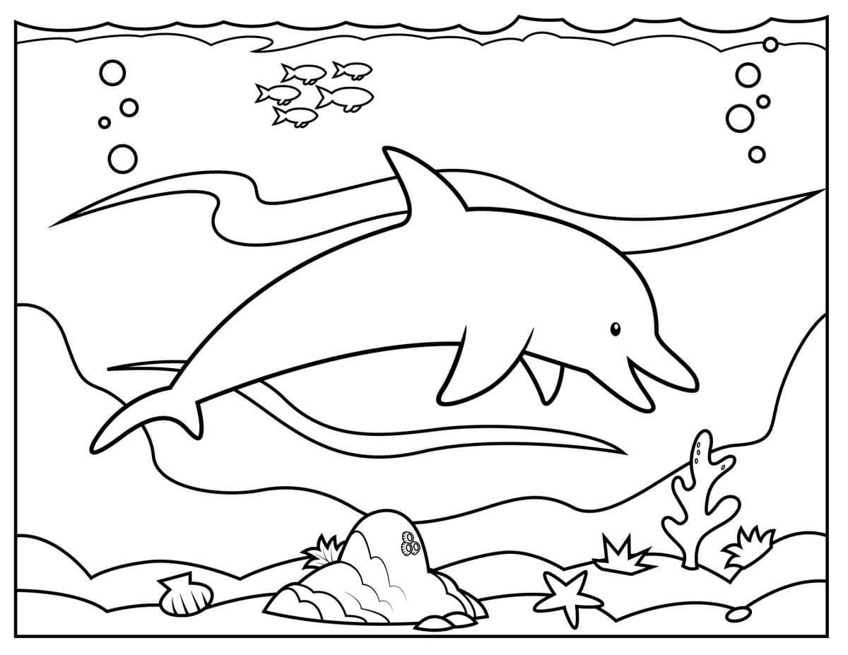 Dibujos de Delfín Simple para colorear