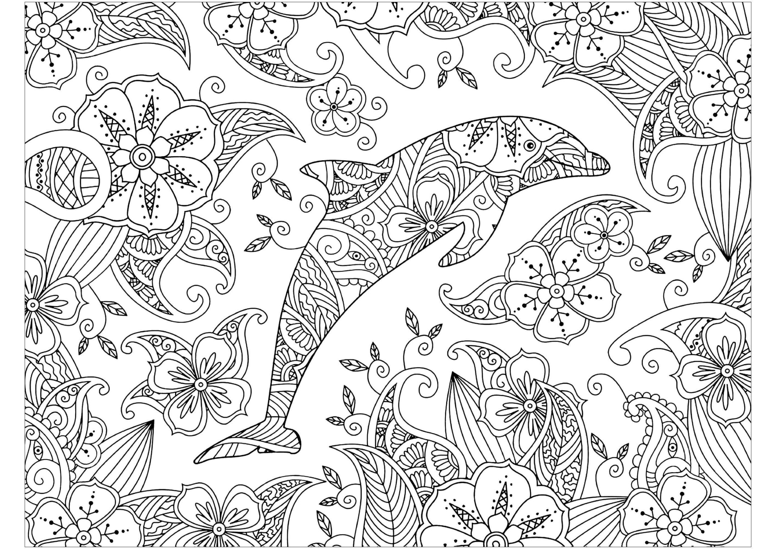 Dibujos de Delfín Zentangle para colorear
