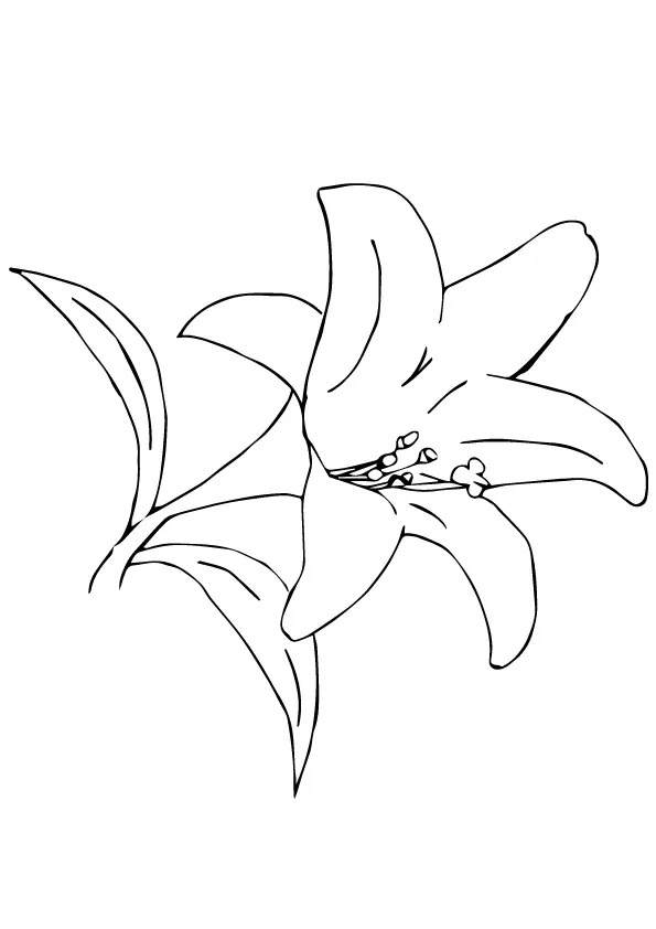 Dibujos de Desierto 1 para colorear