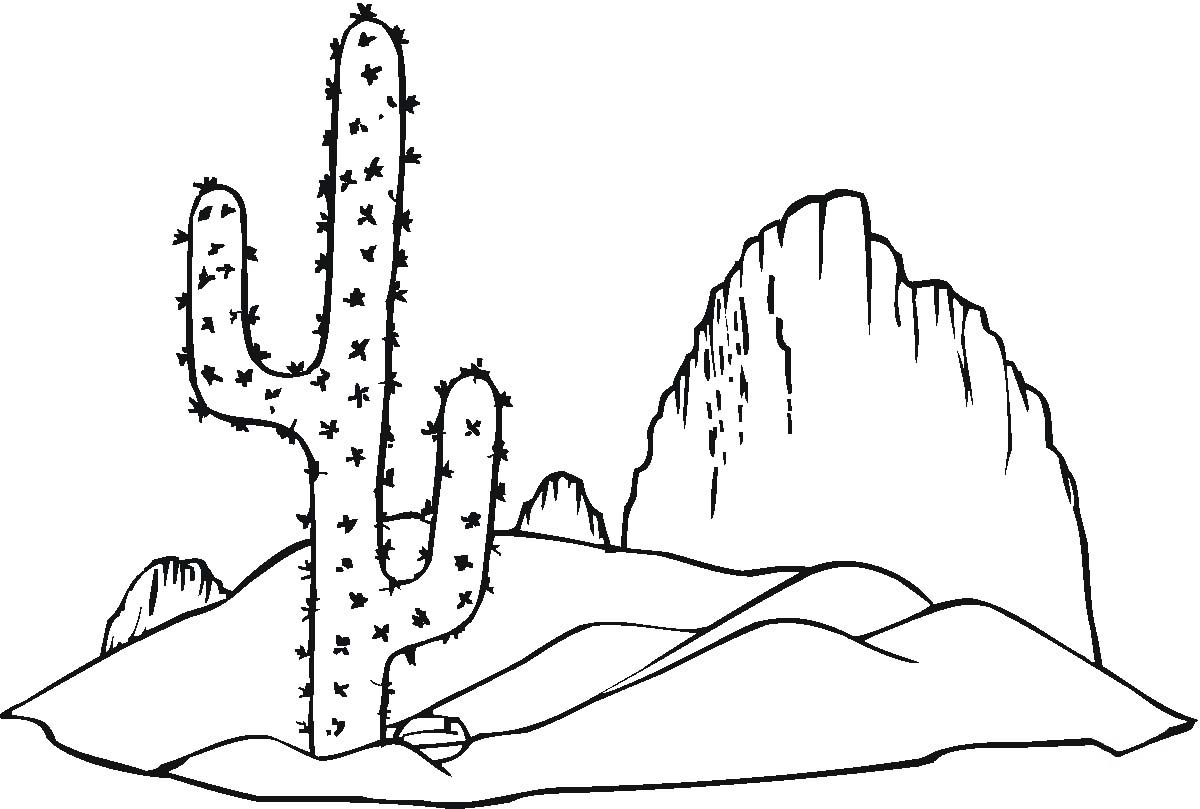 Dibujos de Desierto 2 para colorear