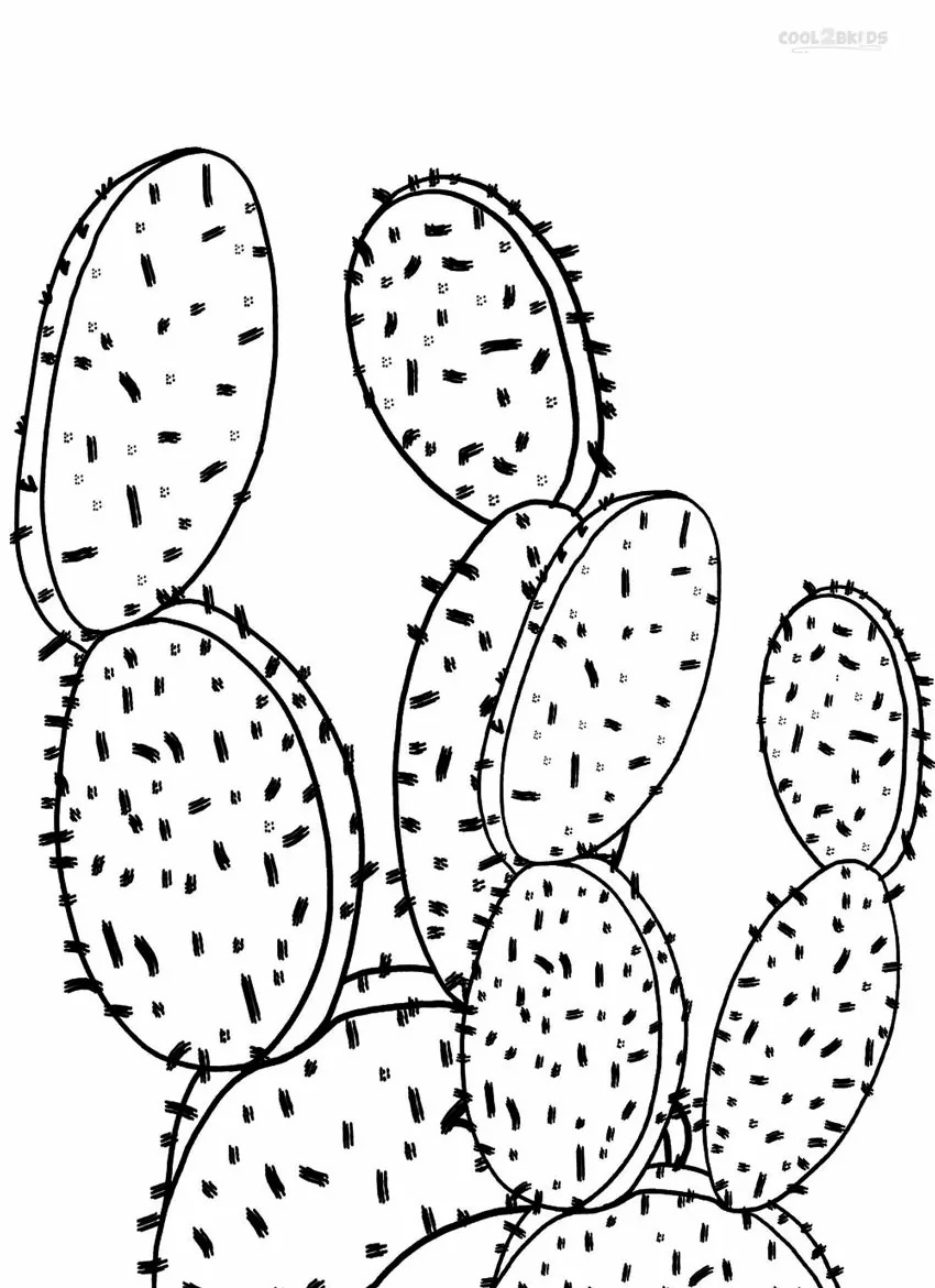 Dibujos de Desierto 3 para colorear
