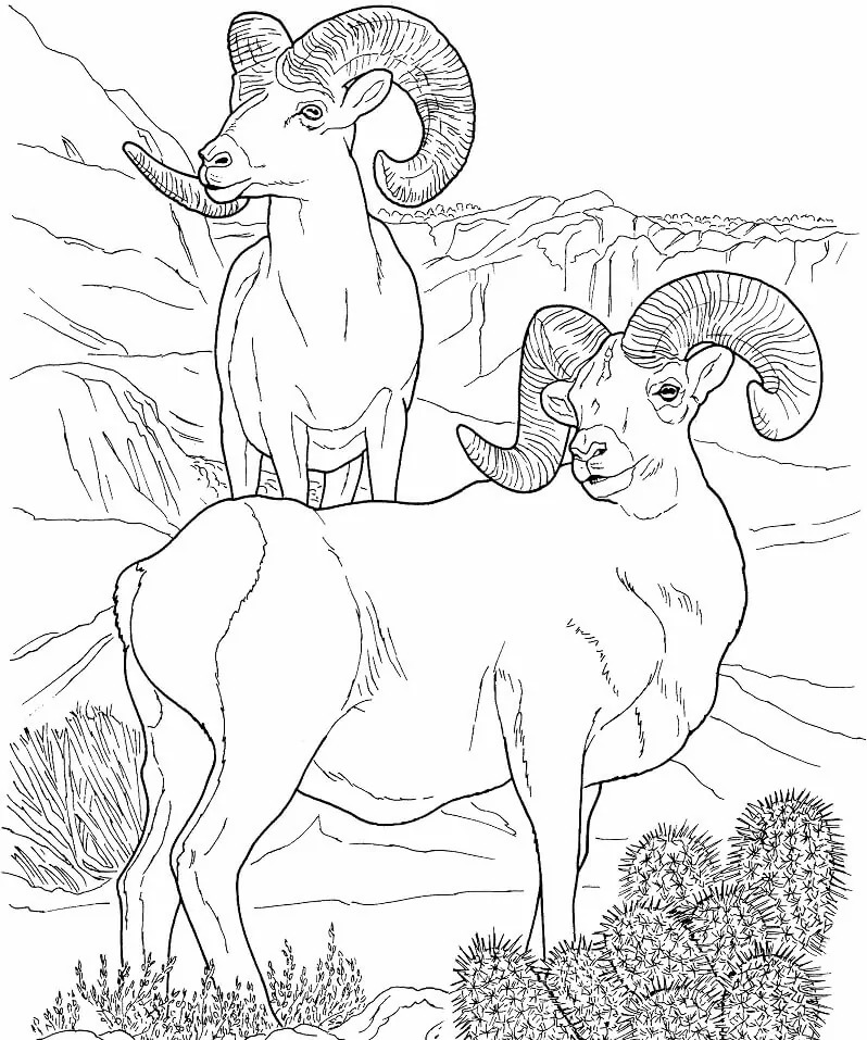 Dibujos de Desierto muy básico para colorear